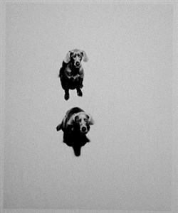 Image description is not available for 2001.085